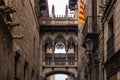 The BishopÃ¢â¬â¢s Bridge in Barcelona Royalty Free Stock Photo